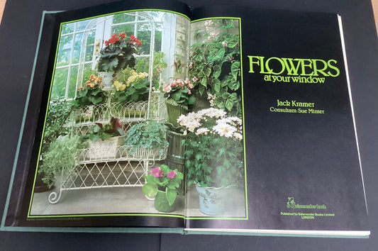 Flowers at your Window by Jack Kramer
