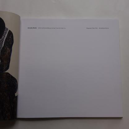 What could possibly go wrong, if we tell it like it is by Amoako Boafo Gagosian
