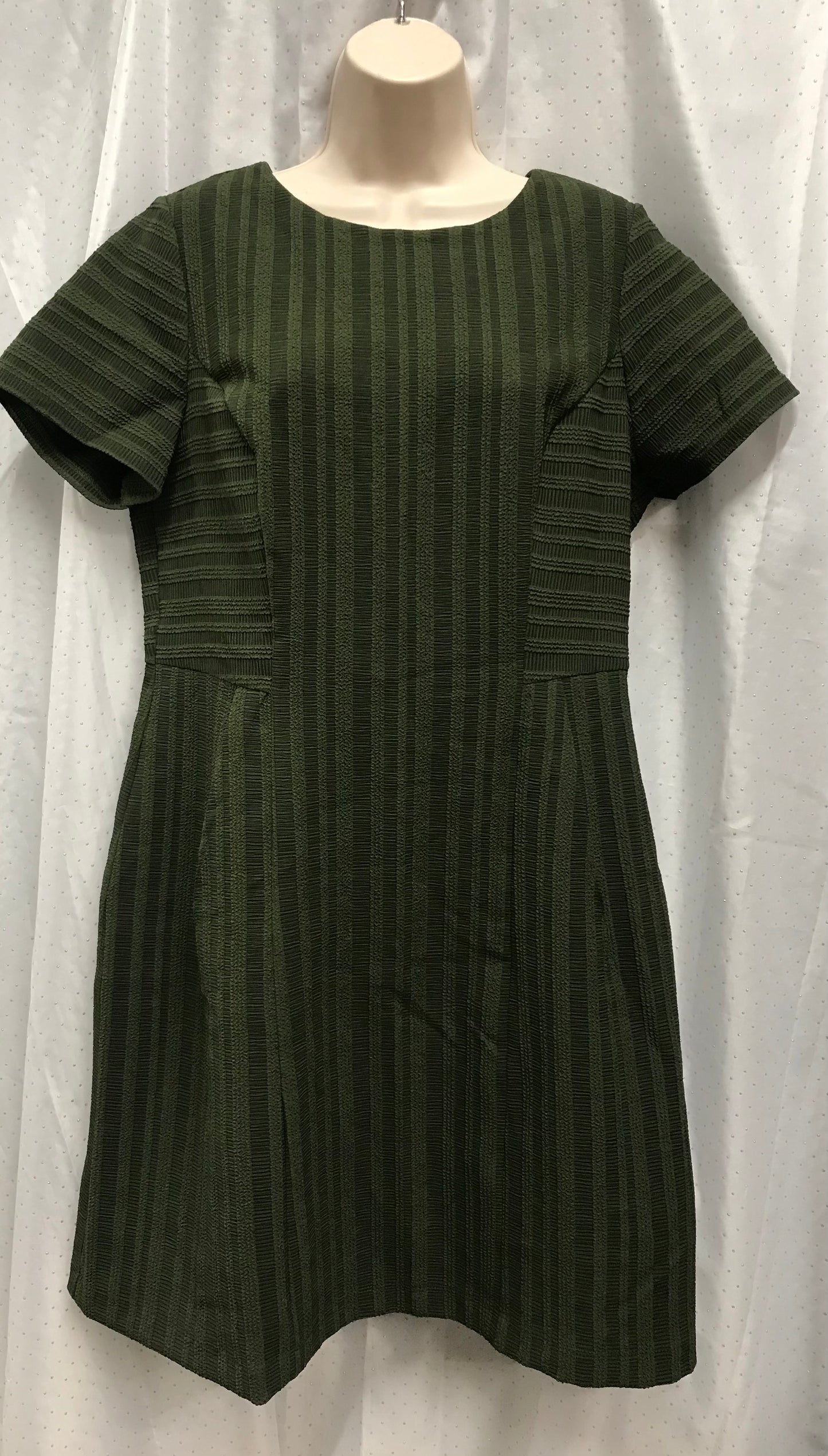 Marks and Spencer Limited Edition Deep Green Size 14 Short Sleeved MIDI Dress with Zipped Fastening BNWT