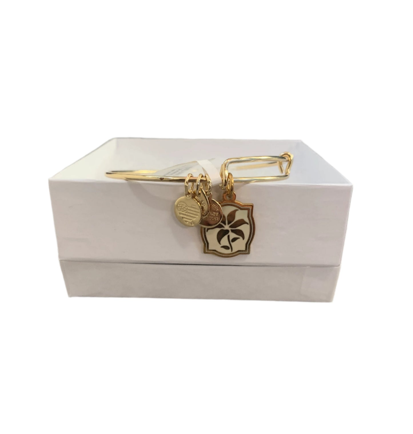 BNIB Alex and Ani Colour Infusion Adjustable Lily Charm Bangle