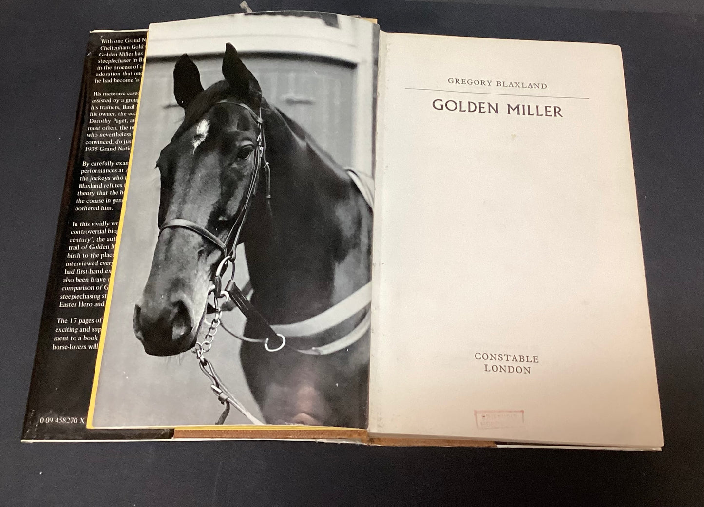 Golden Miller by Gregory Blaxland