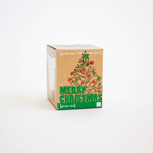 A small brown cardboard box, with an illustration of a Christmas tree on it that reads 'Merry Christmas (grow me)'.