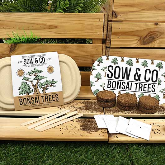 The elements that make up the Sow & Co grow kit sitting in front of a wooden flowerbed, with grass beneath it.