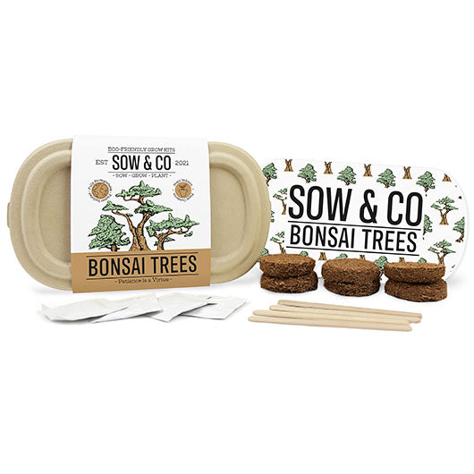 A collection of items that make up the Bonsai Tree Grow Kit against a white background. Items include a cardboard package, a stack of soil, cardboard sticks and four white packets.
