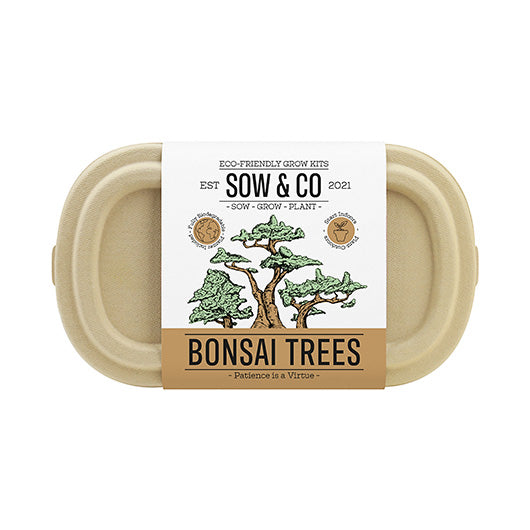 An oval cardboard tub against a white background, with a white sleeve that reads 'Sow & Co. Bonsai trees'
