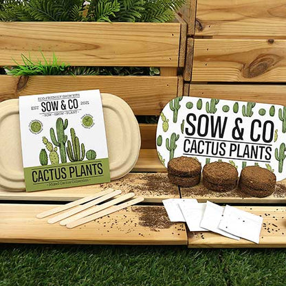 The elements that make up the Sow & Co grow kit sitting in front of a wooden flowerbed, with grass beneath it.