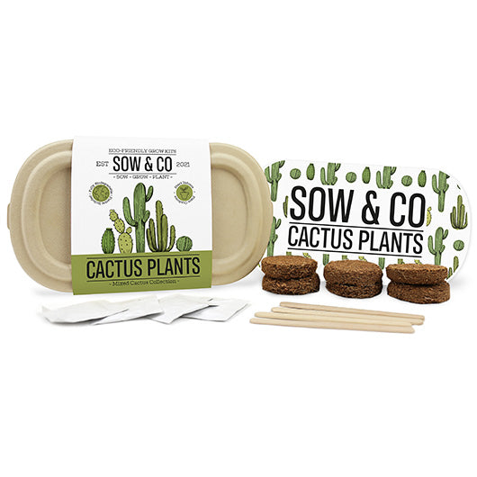 A collection of items that make up the Cactus Plants Grow Kit against a white background. Items include a cardboard package, a stack of soil, cardboard sticks and four white packets.