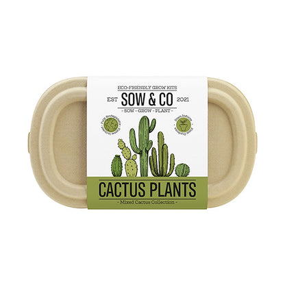An oval cardboard tub against a white background, with a white sleeve that reads 'Sow & Co. Cactus Plants.
