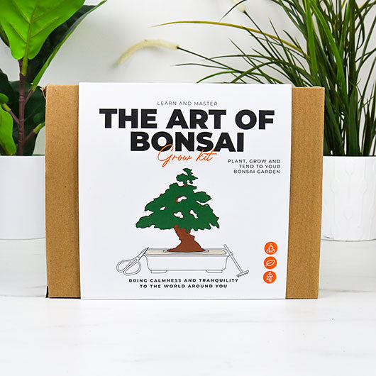 A cardboard kit with a white sleeve. Sleeve has an illustration of a bonsai tree on it with text 'The Art of Bonsai'.