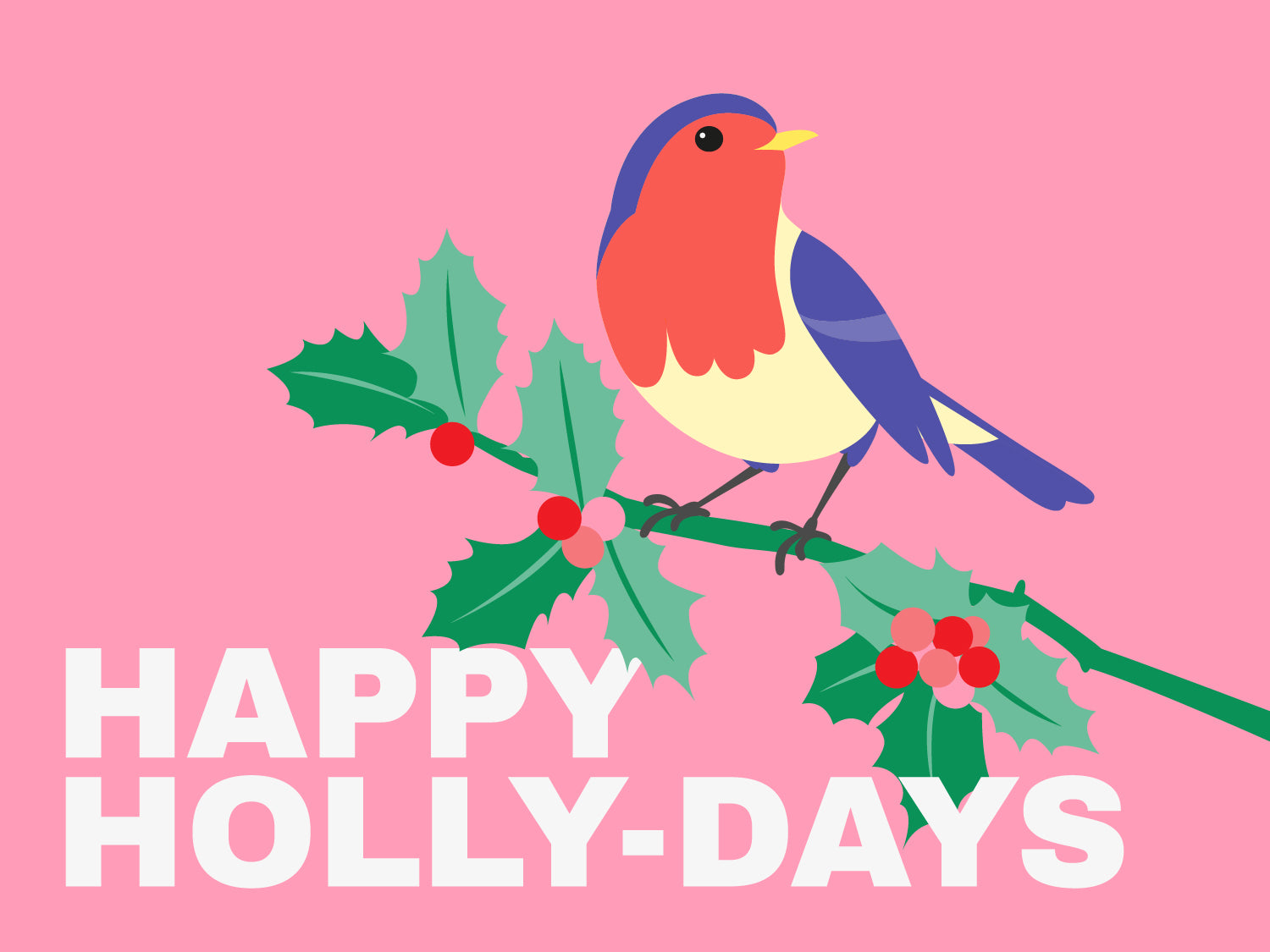 Still image. A robin perching on a holly branch against a bubblegum pink background. The text at the bottom of the image reads 'Happy Holly-days.'