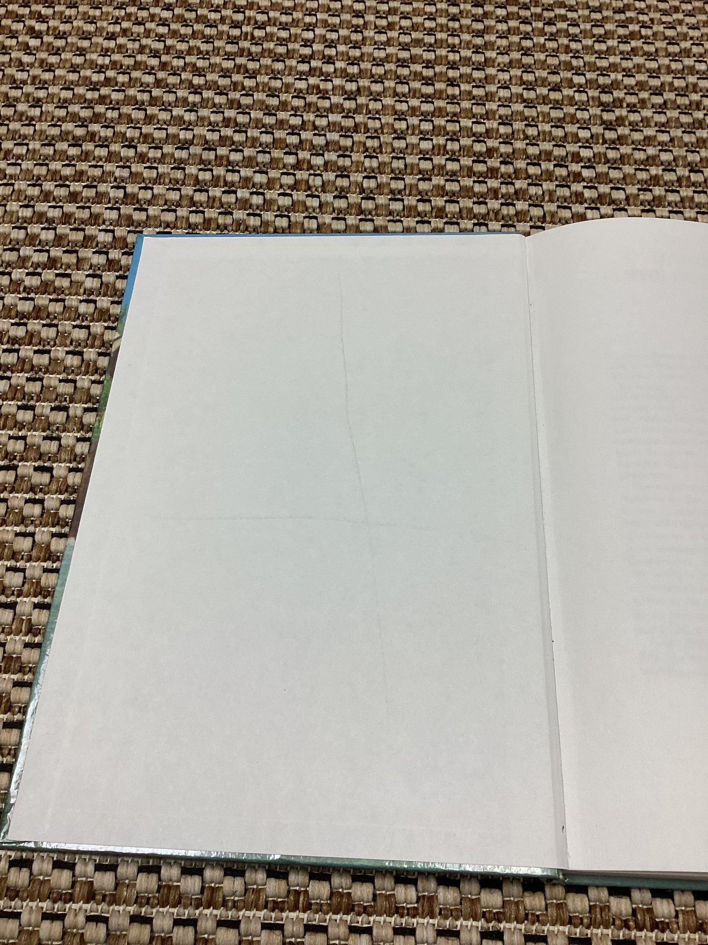 James and the Giant Peach by Roald Dahl (1981)