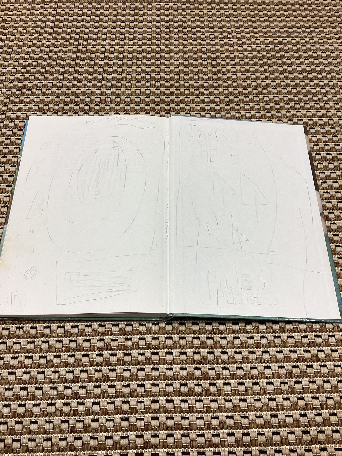 James and the Giant Peach by Roald Dahl (1981)