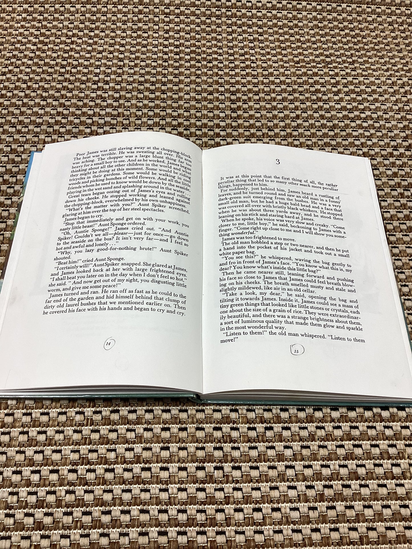 James and the Giant Peach by Roald Dahl (1981)