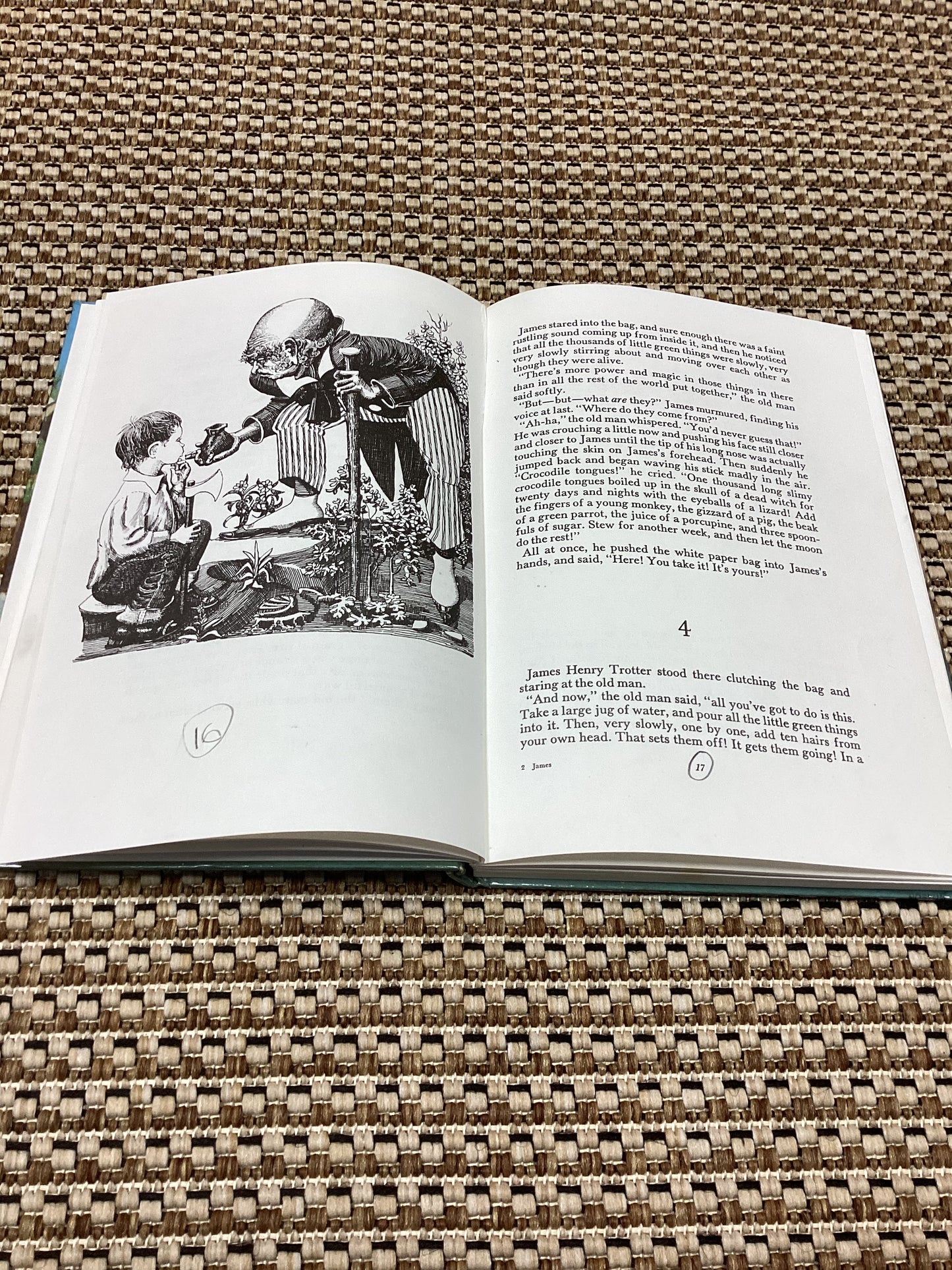 James and the Giant Peach by Roald Dahl (1981)