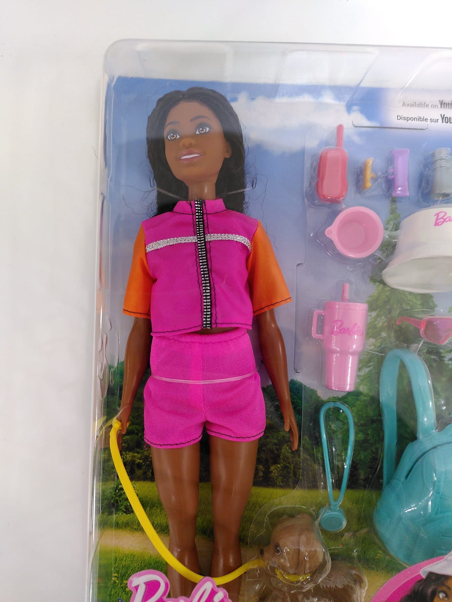 Barbie Brooklyn Outdoor Adventures With Accessories, Dog