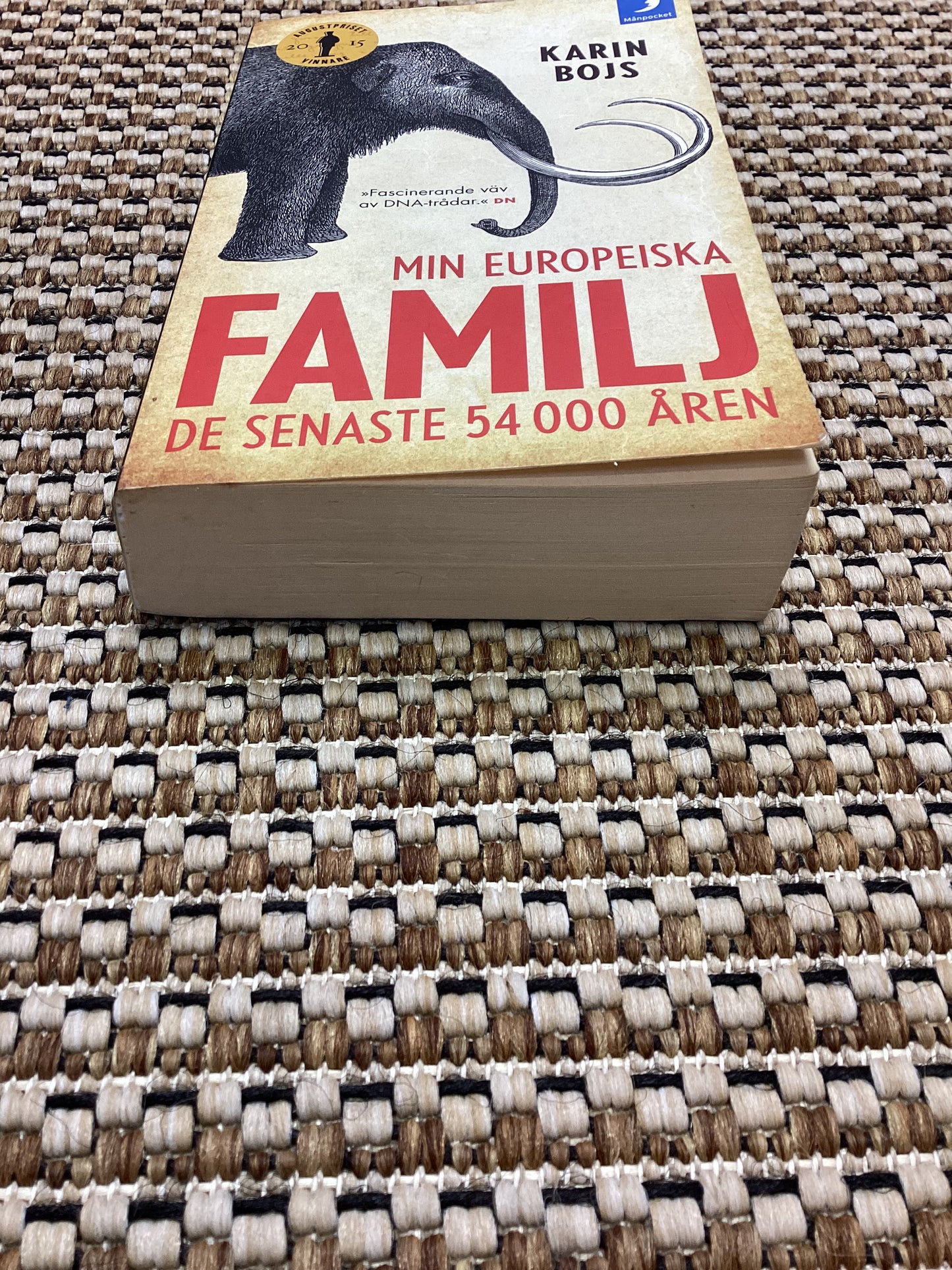 Min Europeiska Familj: Se Senaste 54 000 Åren by Karin Bojs (2018)