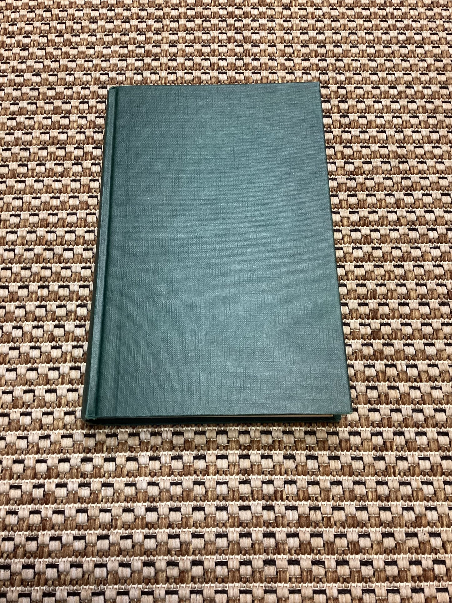 The Park is Mine by Stephen Peters (1982)