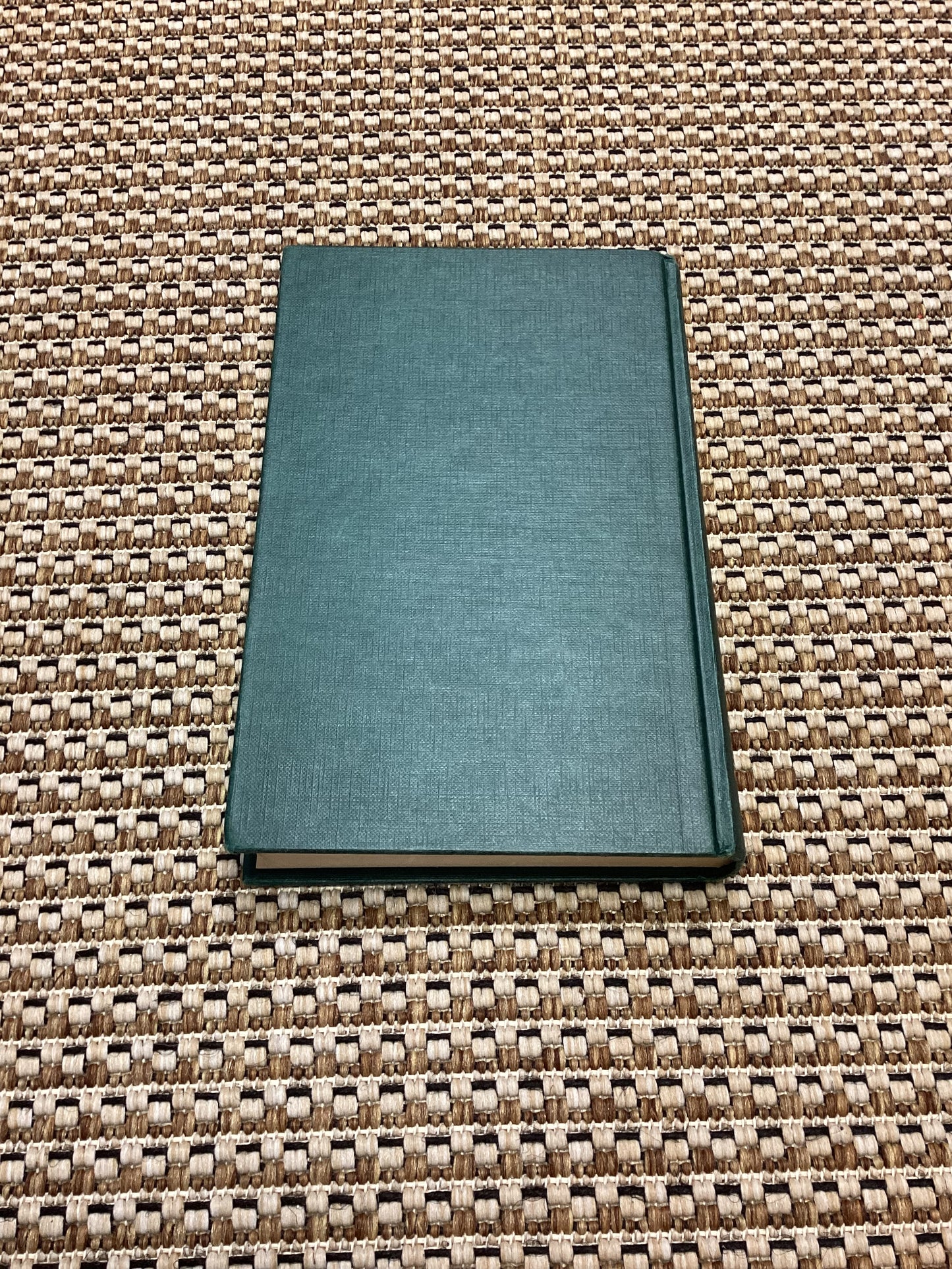 The Park is Mine by Stephen Peters (1982)