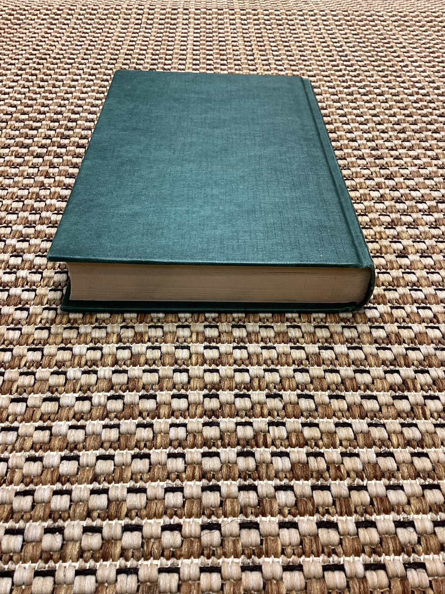 The Park is Mine by Stephen Peters (1982)