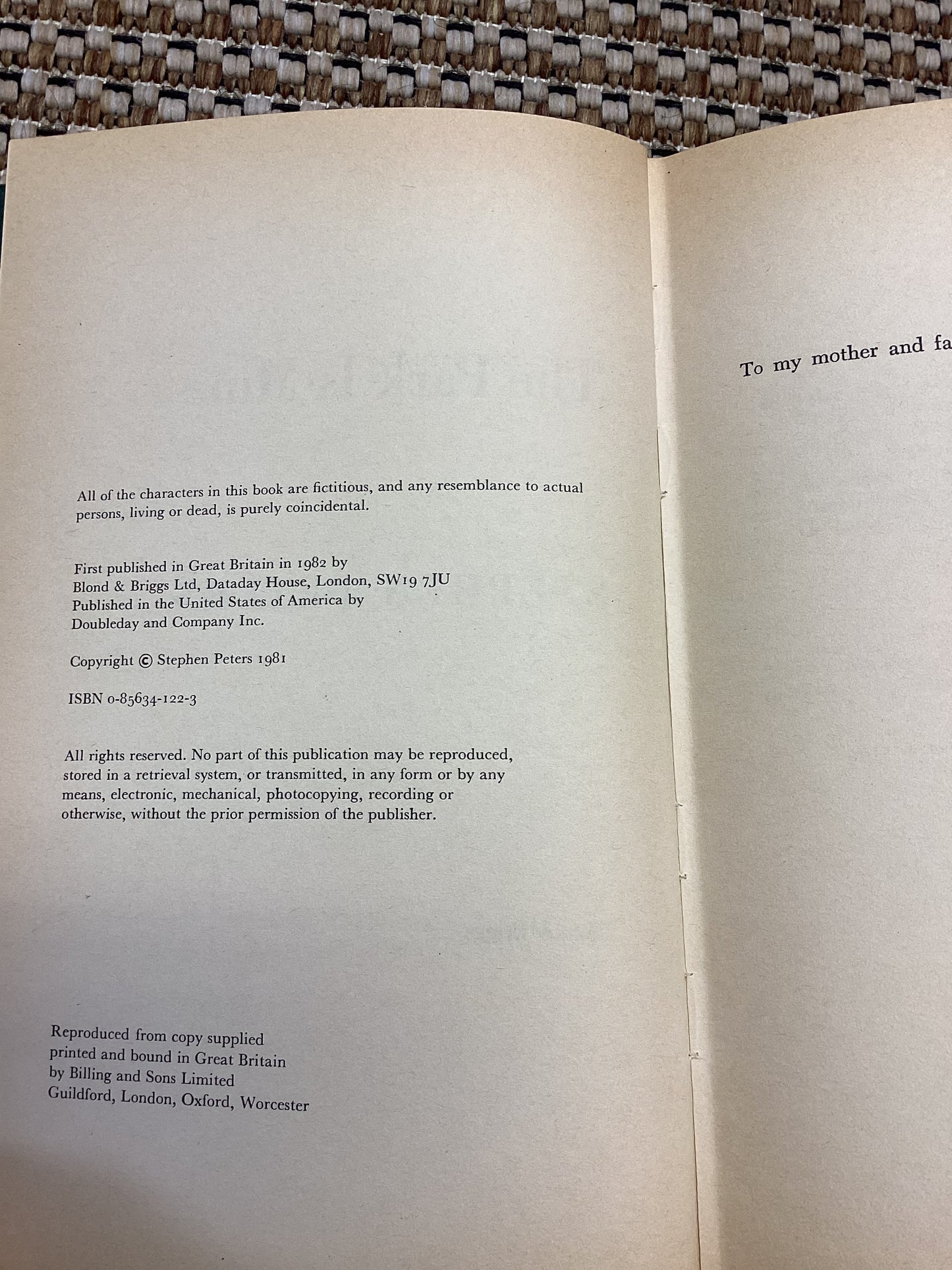 The Park is Mine by Stephen Peters (1982)