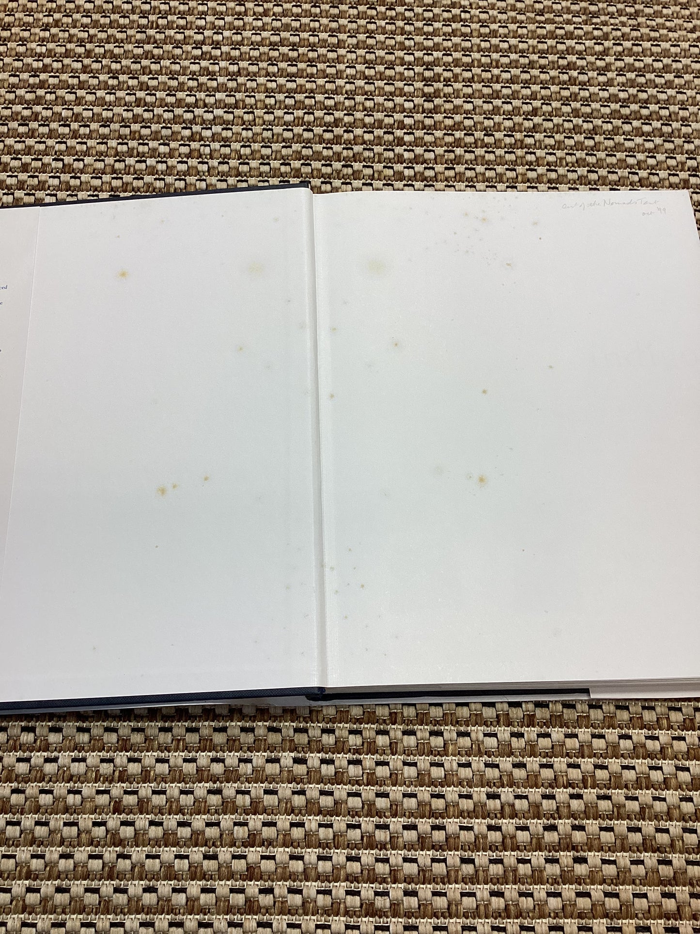 Indigo by Jenny Balfour-Paul (1998)