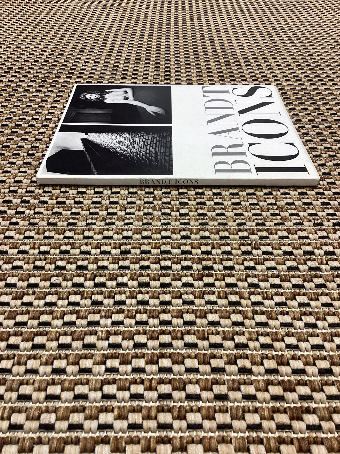 Brandt Icons by Bill Brandt (2004)