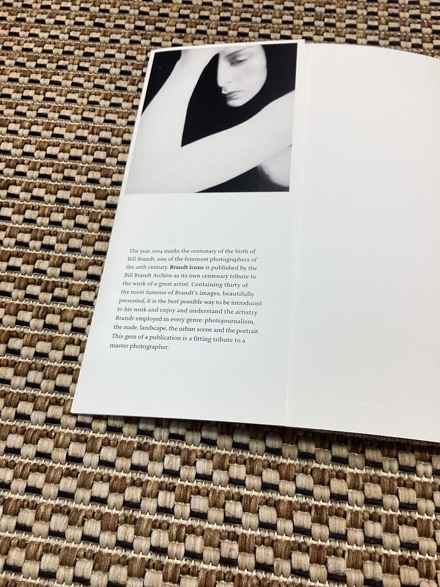 Brandt Icons by Bill Brandt (2004)