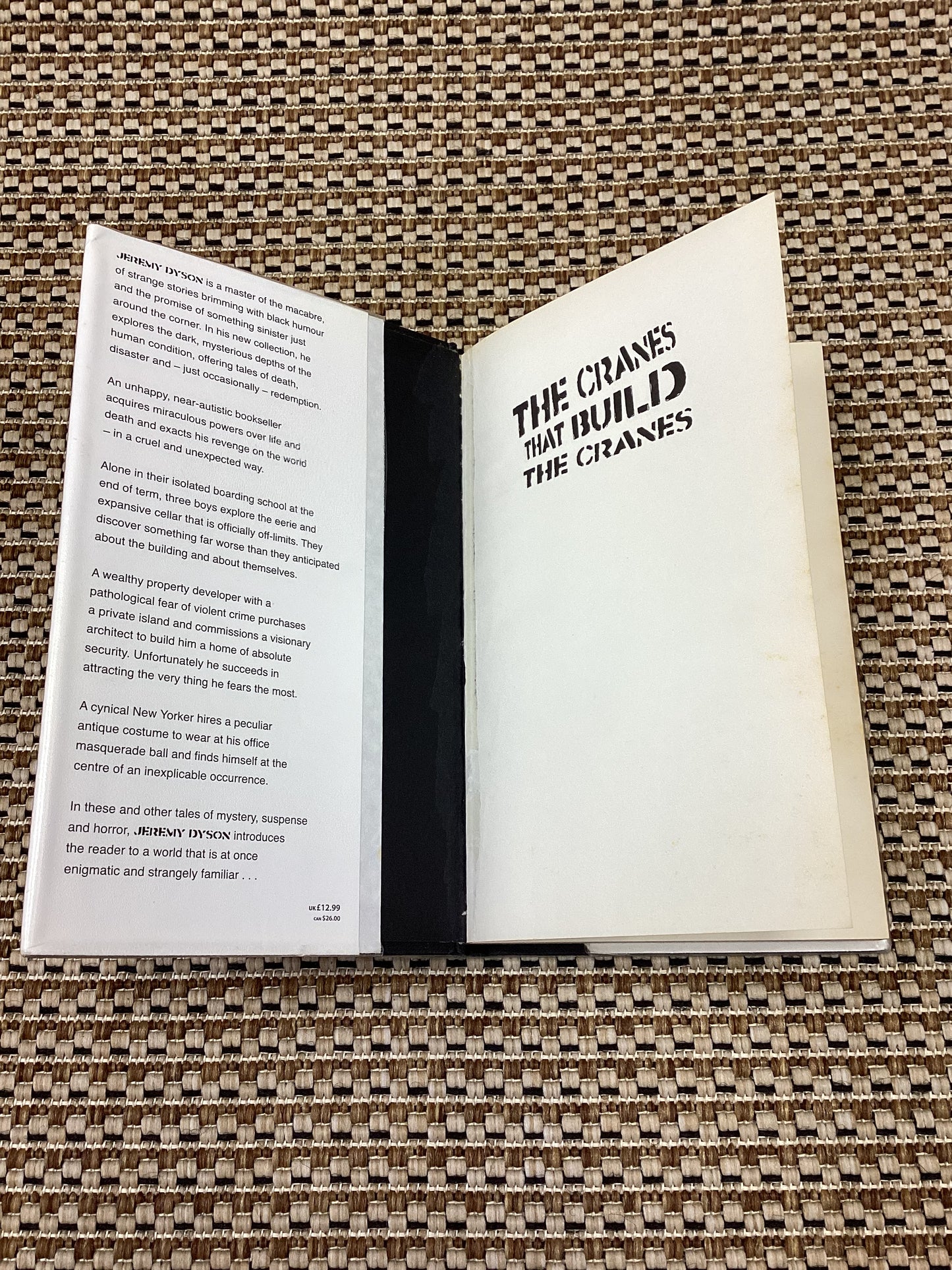 The Cranes that Build Cranes by Jeremy Dyson (2009)