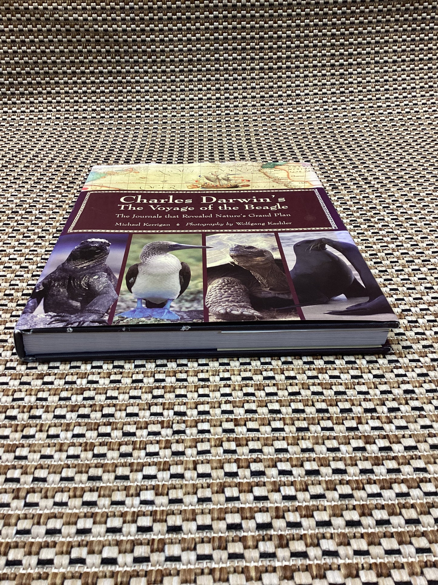 Charles Darwin's The Voyage of the Beagle by Michael Kerrigan (2005)