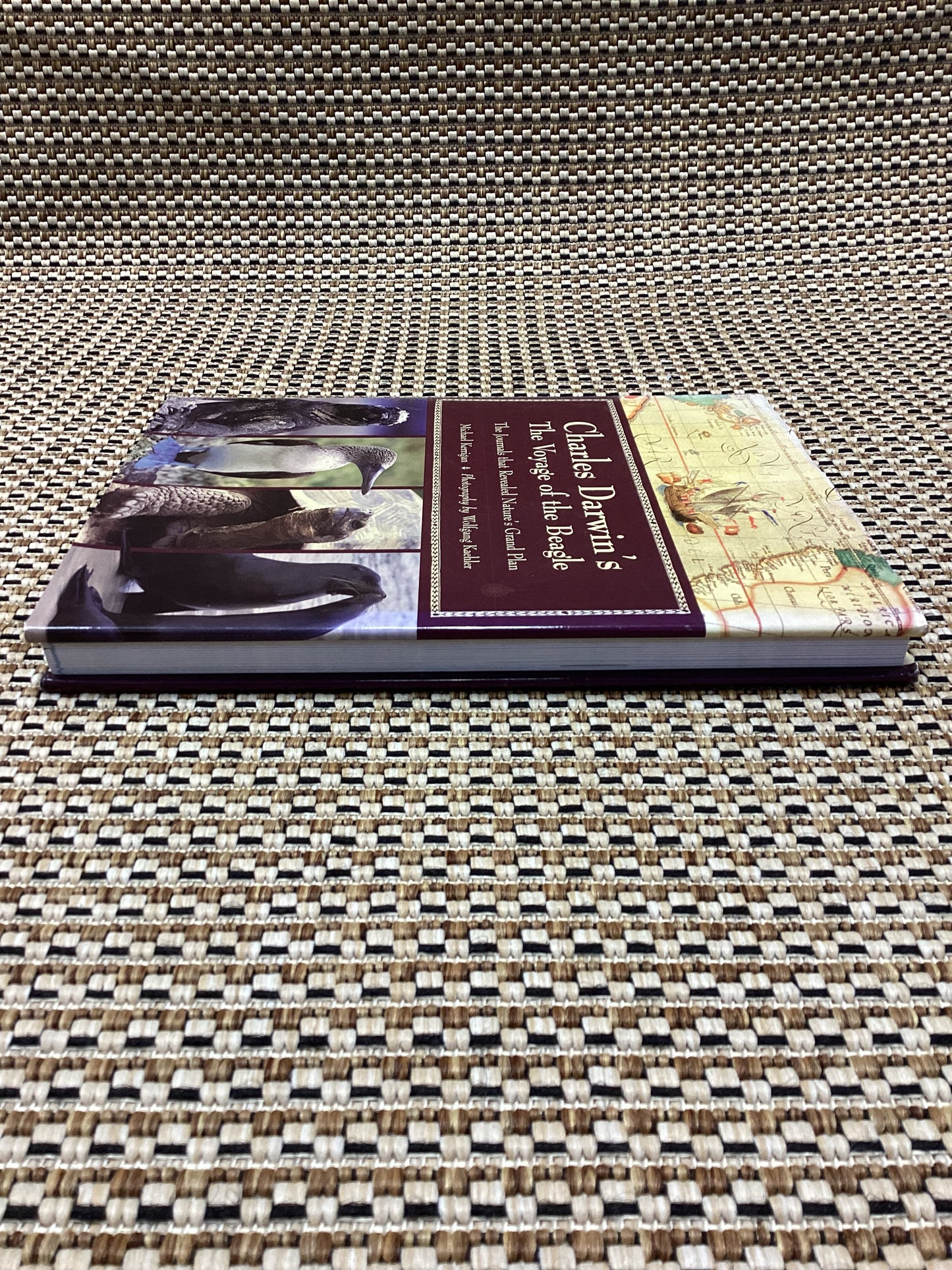 Charles Darwin's The Voyage of the Beagle by Michael Kerrigan (2005)