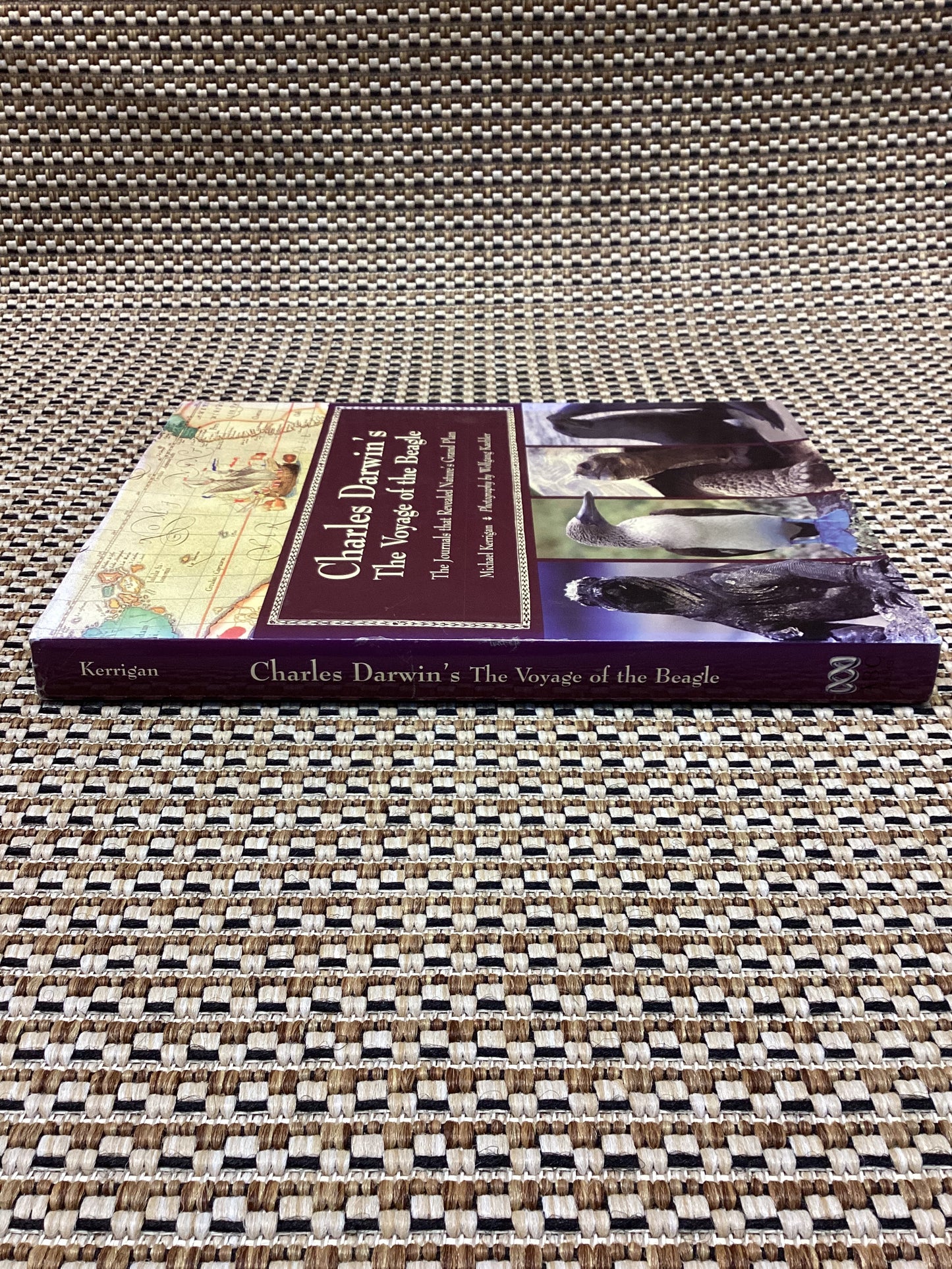 Charles Darwin's The Voyage of the Beagle by Michael Kerrigan (2005)