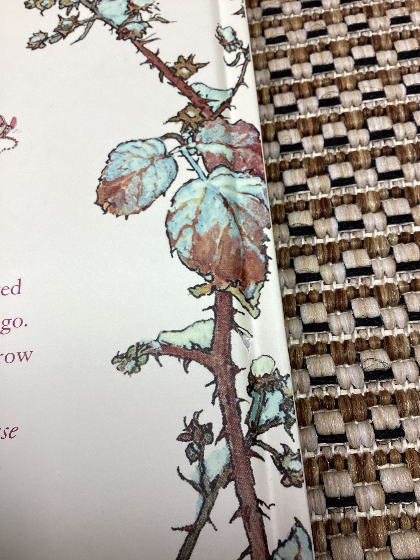 The Brambley Hedge Treasury by Jill Barklem (2011)