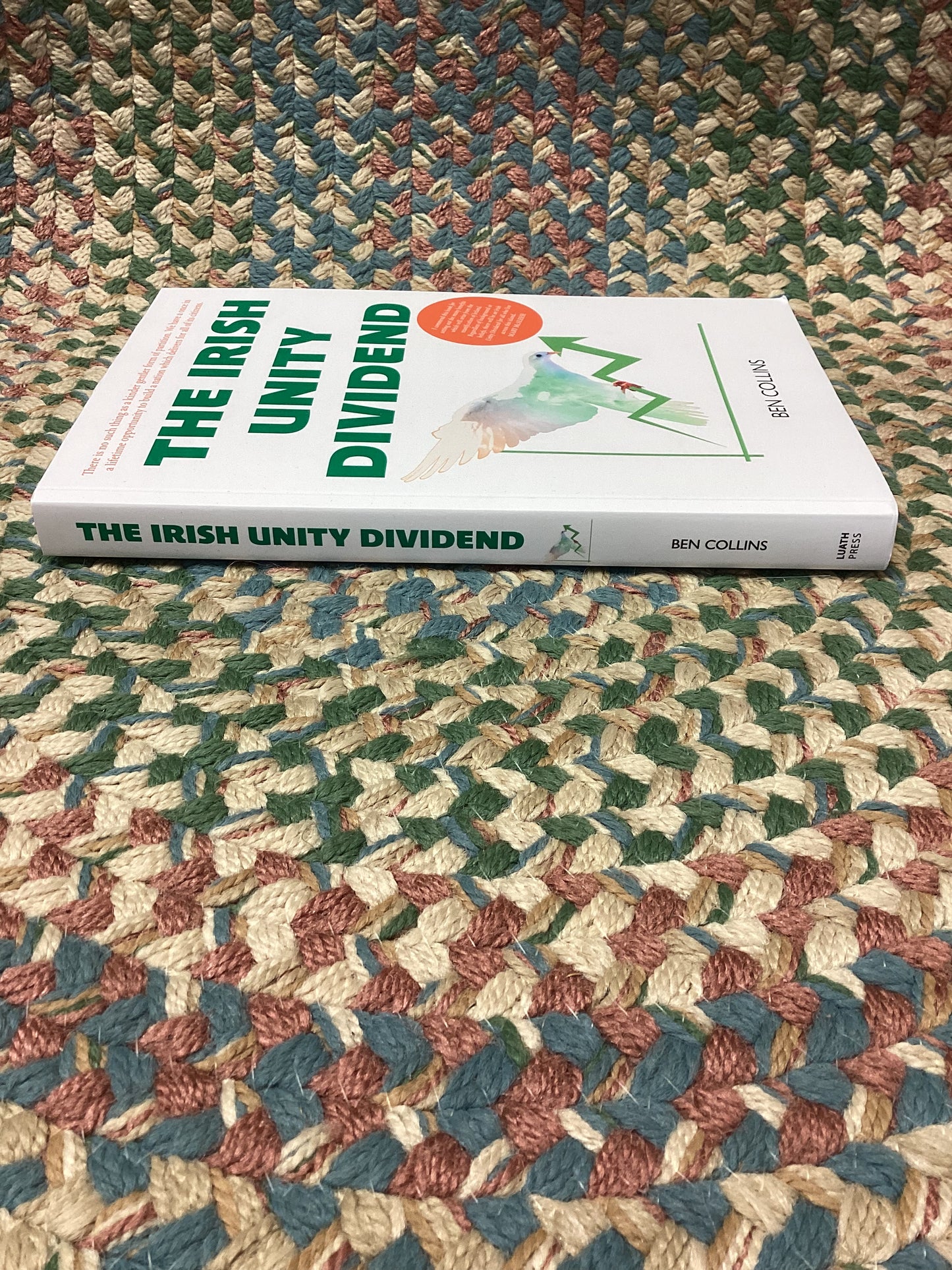 The Irish Unity Dividend by Ben Collins (2025) – Shop for Shelter