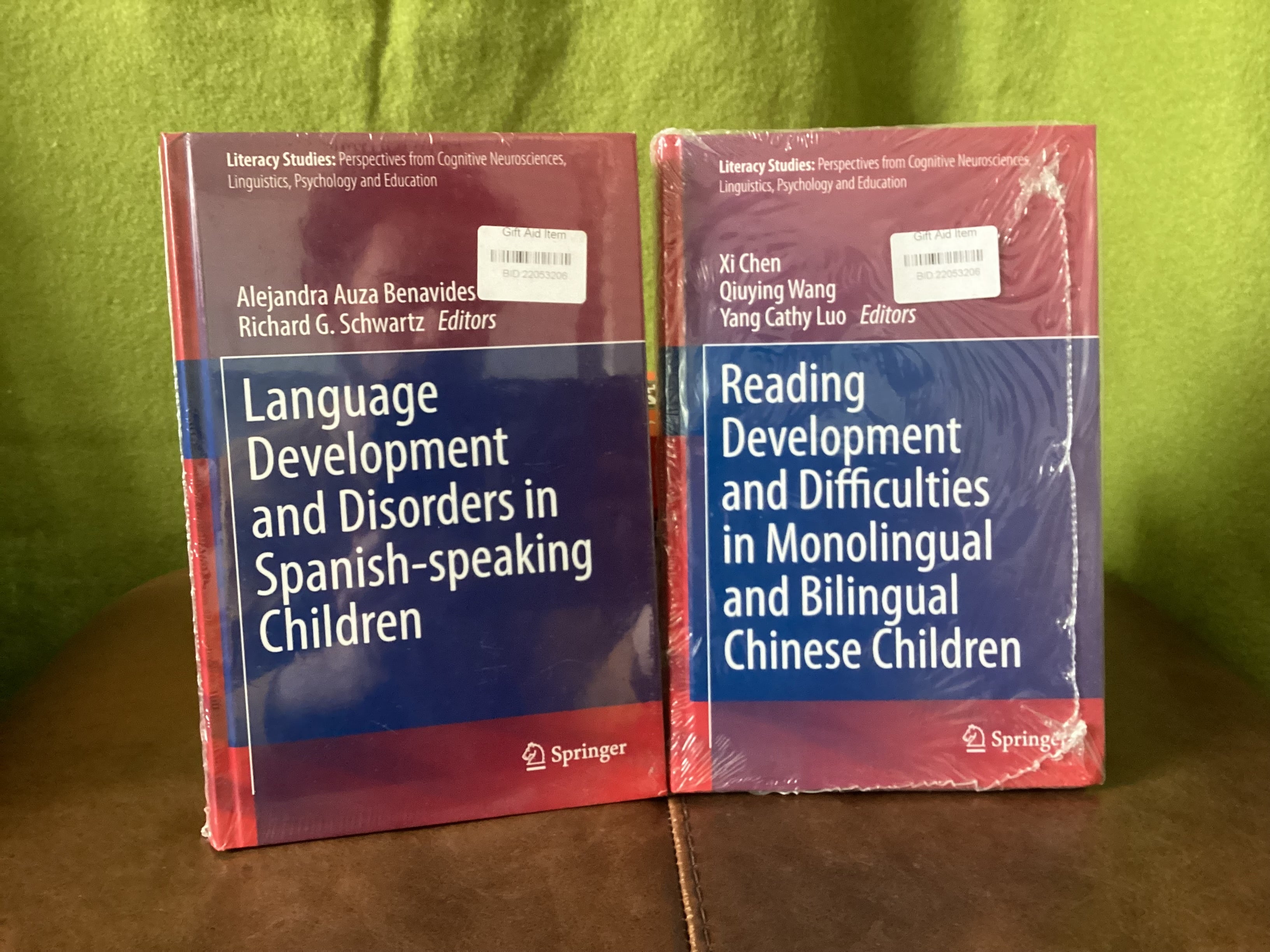 Springer Academic Literacy Studies Book Bundle – Shop for Shelter
