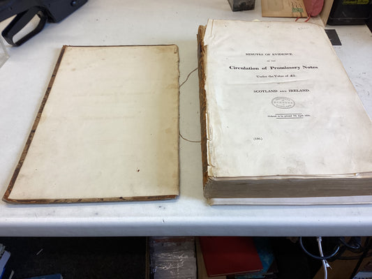Reports On The Small Note Currency Minutes of Evidence on The Circulation of Promissory Notes In Scotland and Ireland