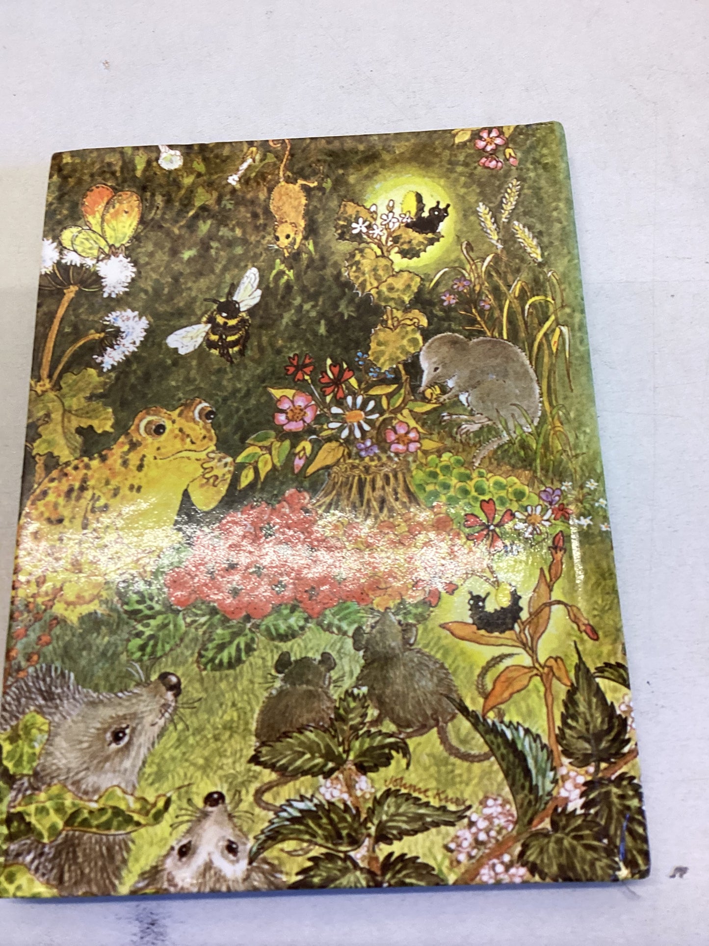 The Hedgerow Circus An Animal Story