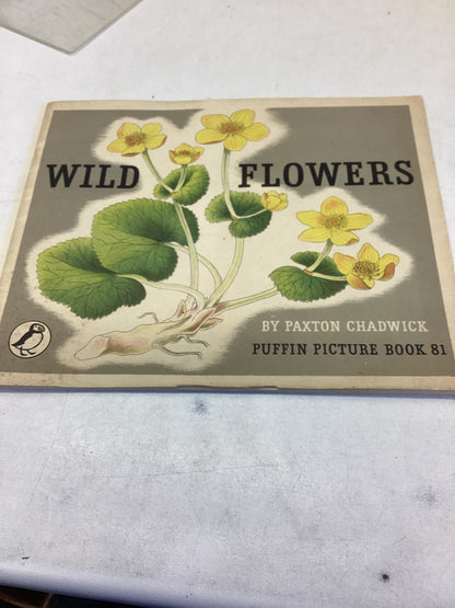 Wild Flowers By Paxton Chadwick Puffin Picture Book 81