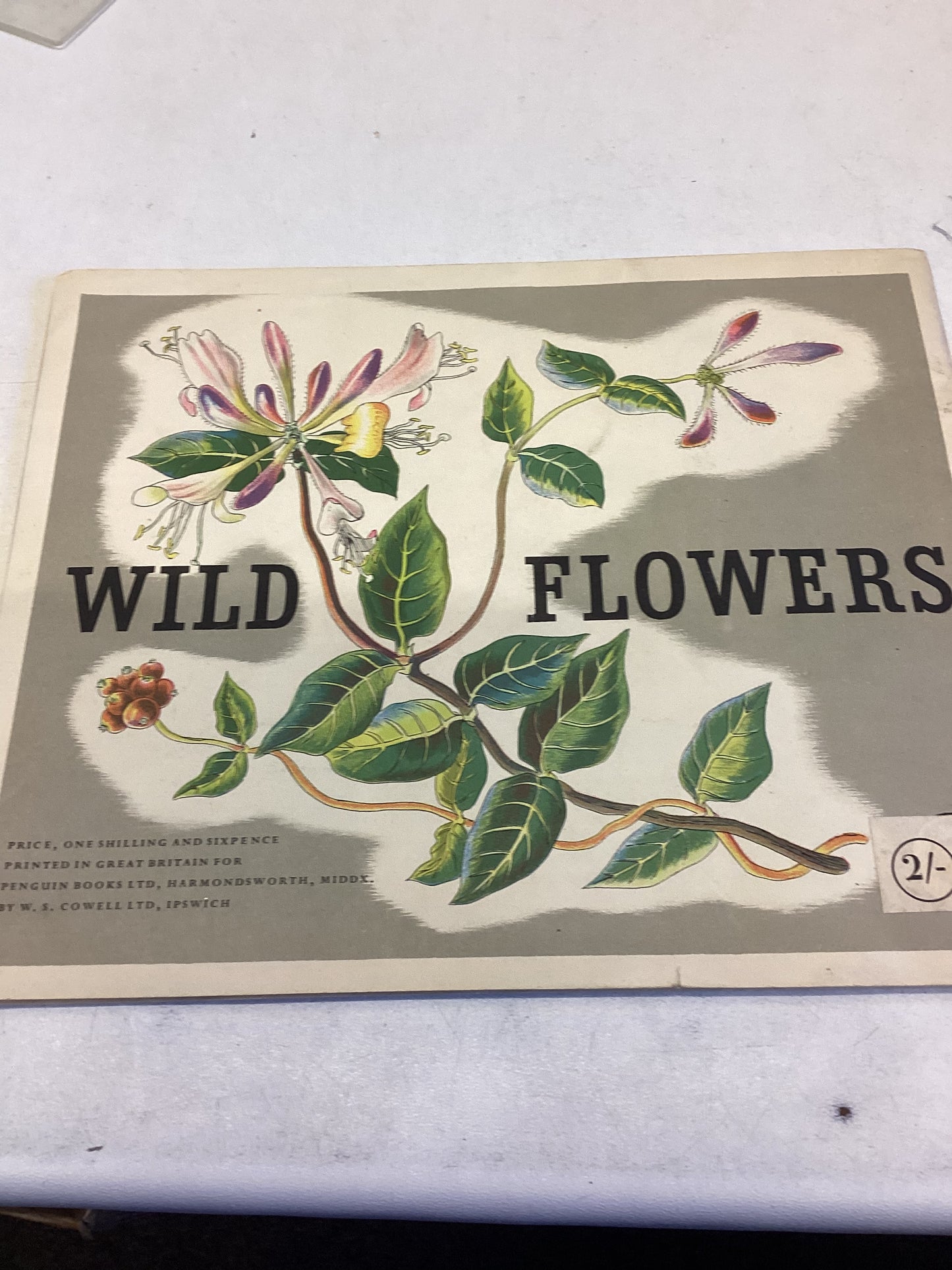 Wild Flowers By Paxton Chadwick Puffin Picture Book 81