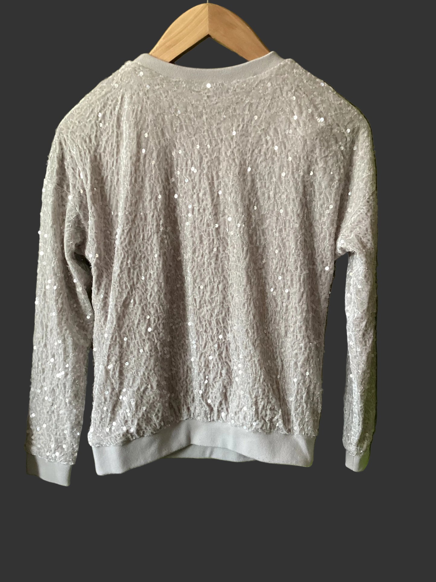 Mint Velvet Silver Sequin Sweatshirt Size XS