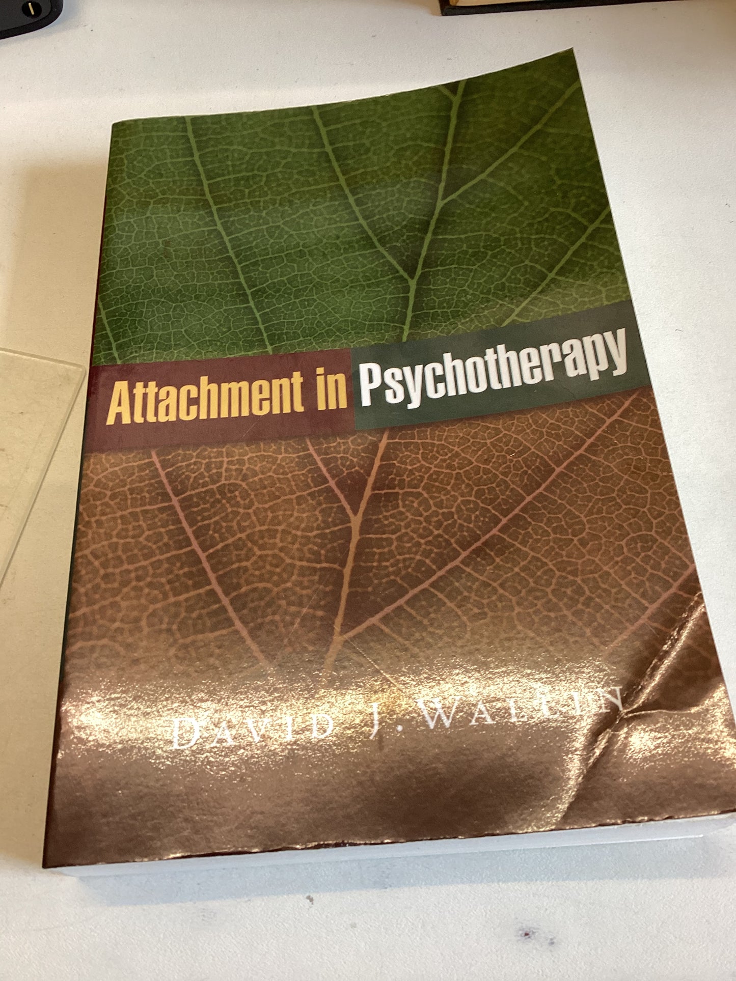Attachment In Psychotherapy David J Wallin
