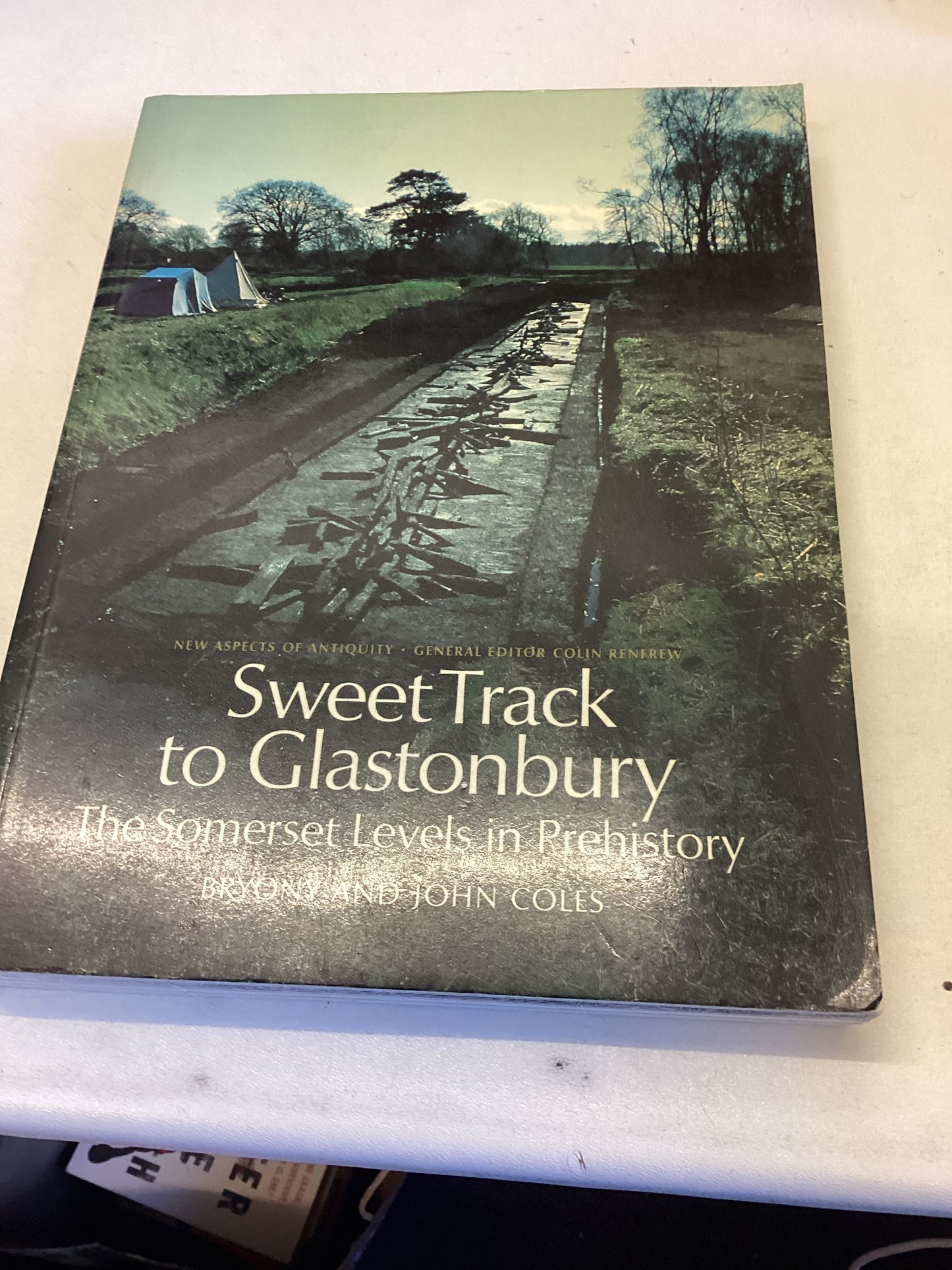 Sweet Track to Glastonbury The Somerset Levels In Prehistory Bryony and John Coles