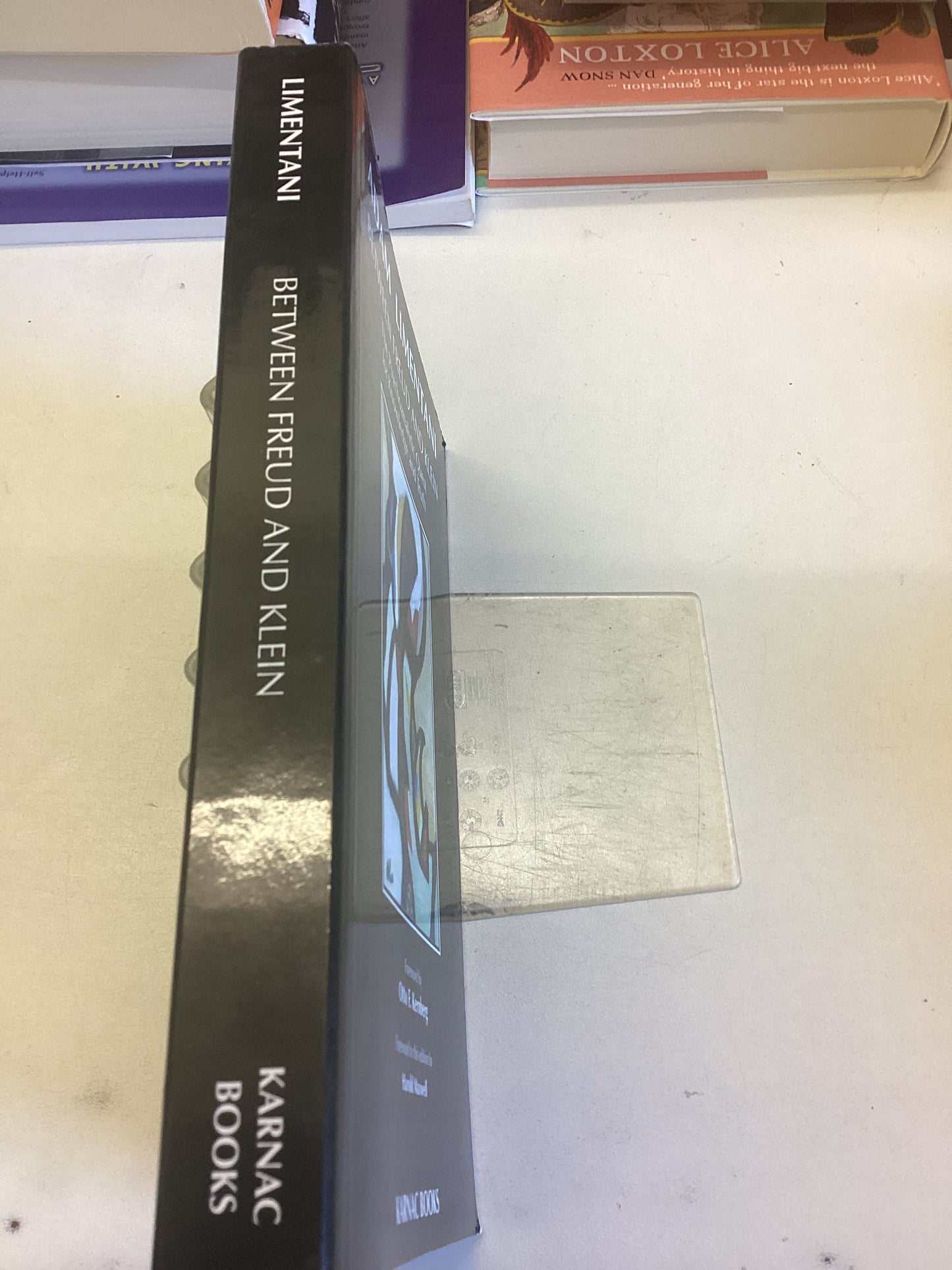 Between Freud and Klein The Psychoanalytic Quest  Adam Limentani