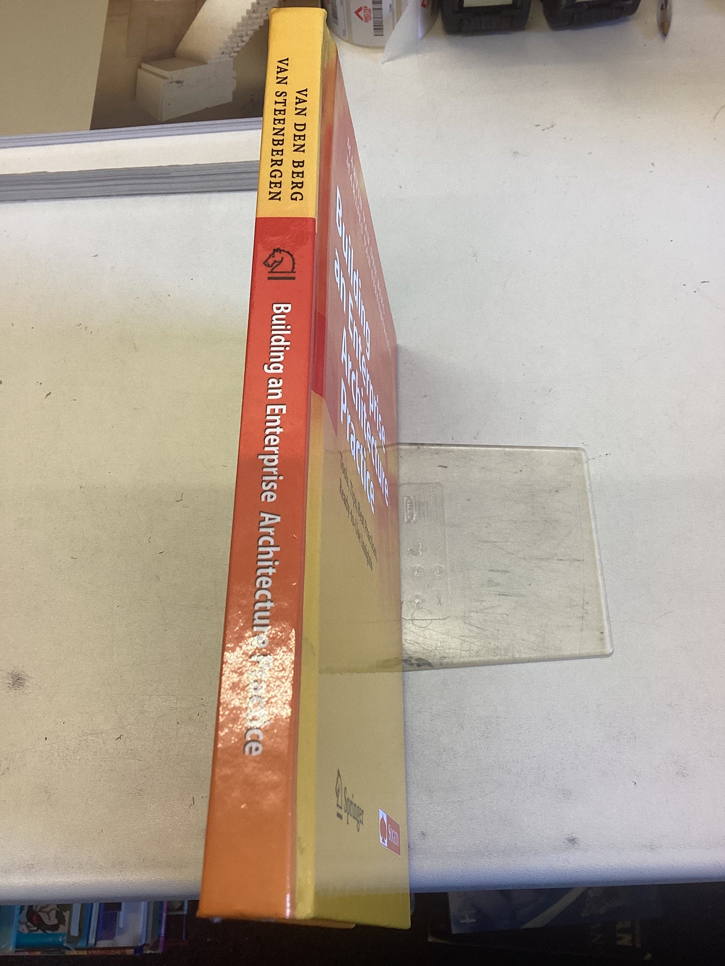 Building an Enterprise Architecture Practice Van Den Berg Van Steenbergen