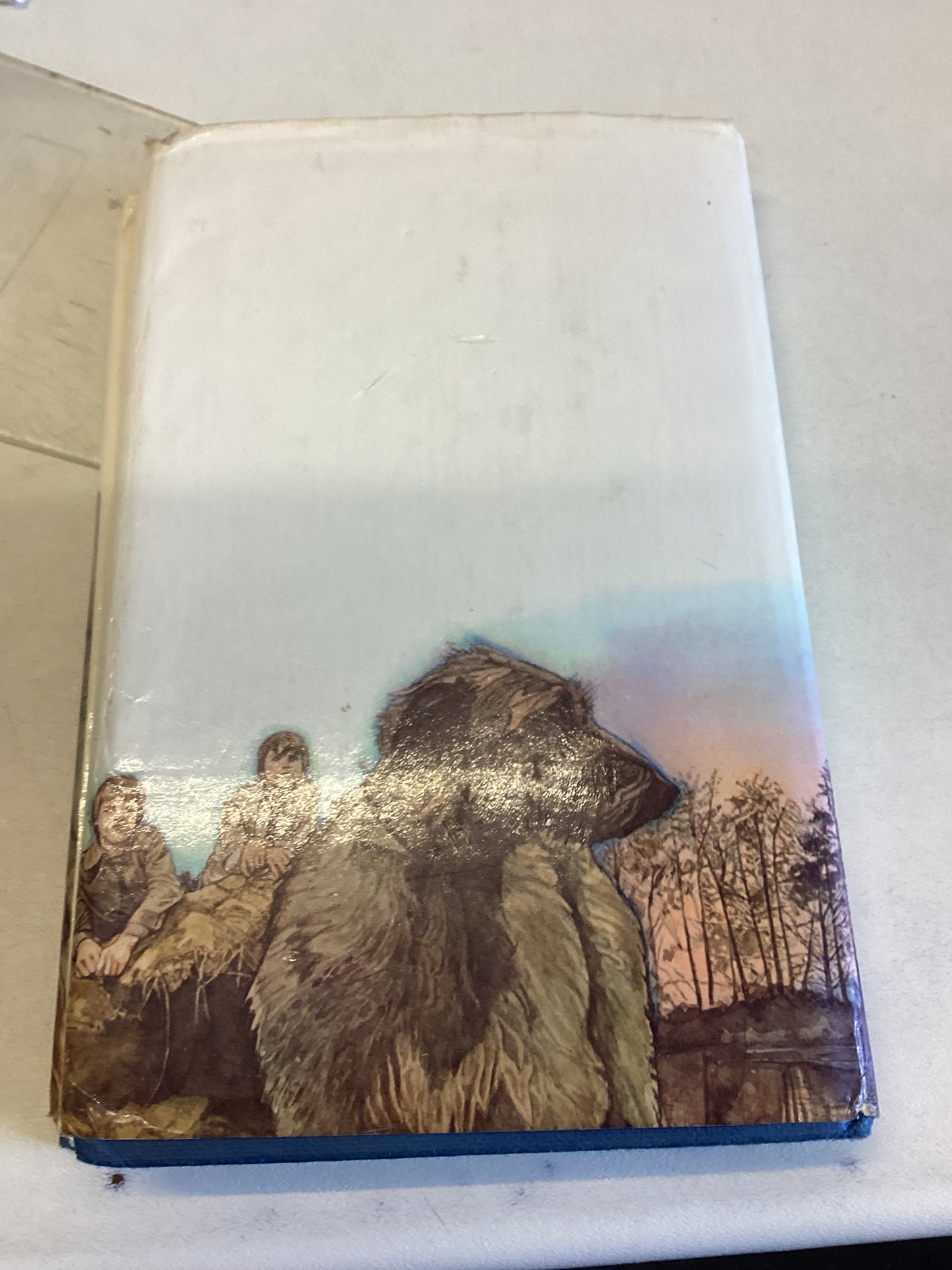 The Time of The Ghost Diana Wynne Jones