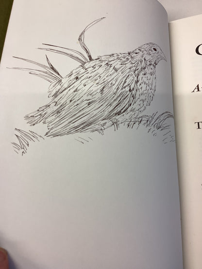 The Coturnix Quail Anatomy and History Theodore C Fitzgerald