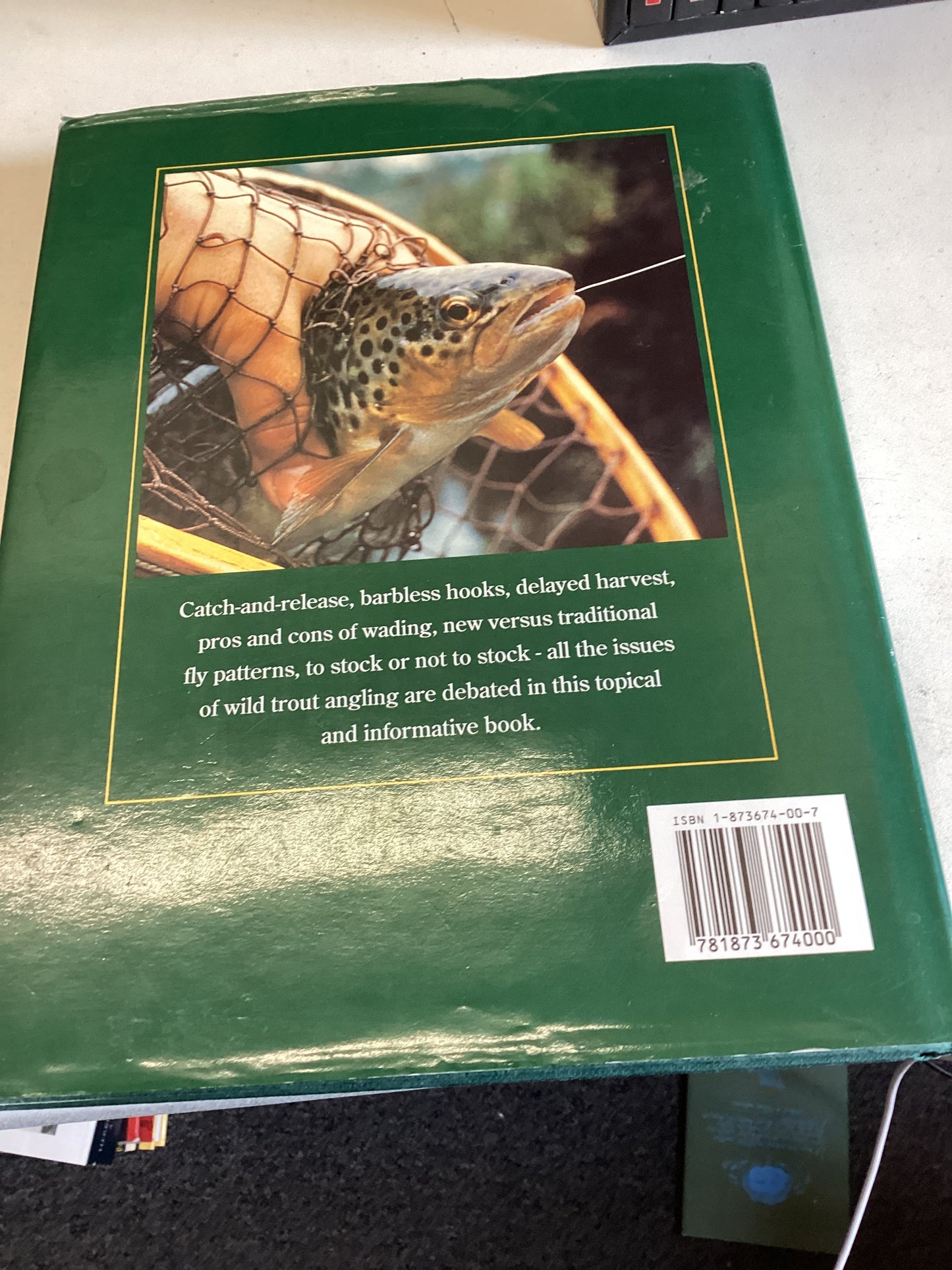 The Pursuit Of Wild Trout Mike Weaver