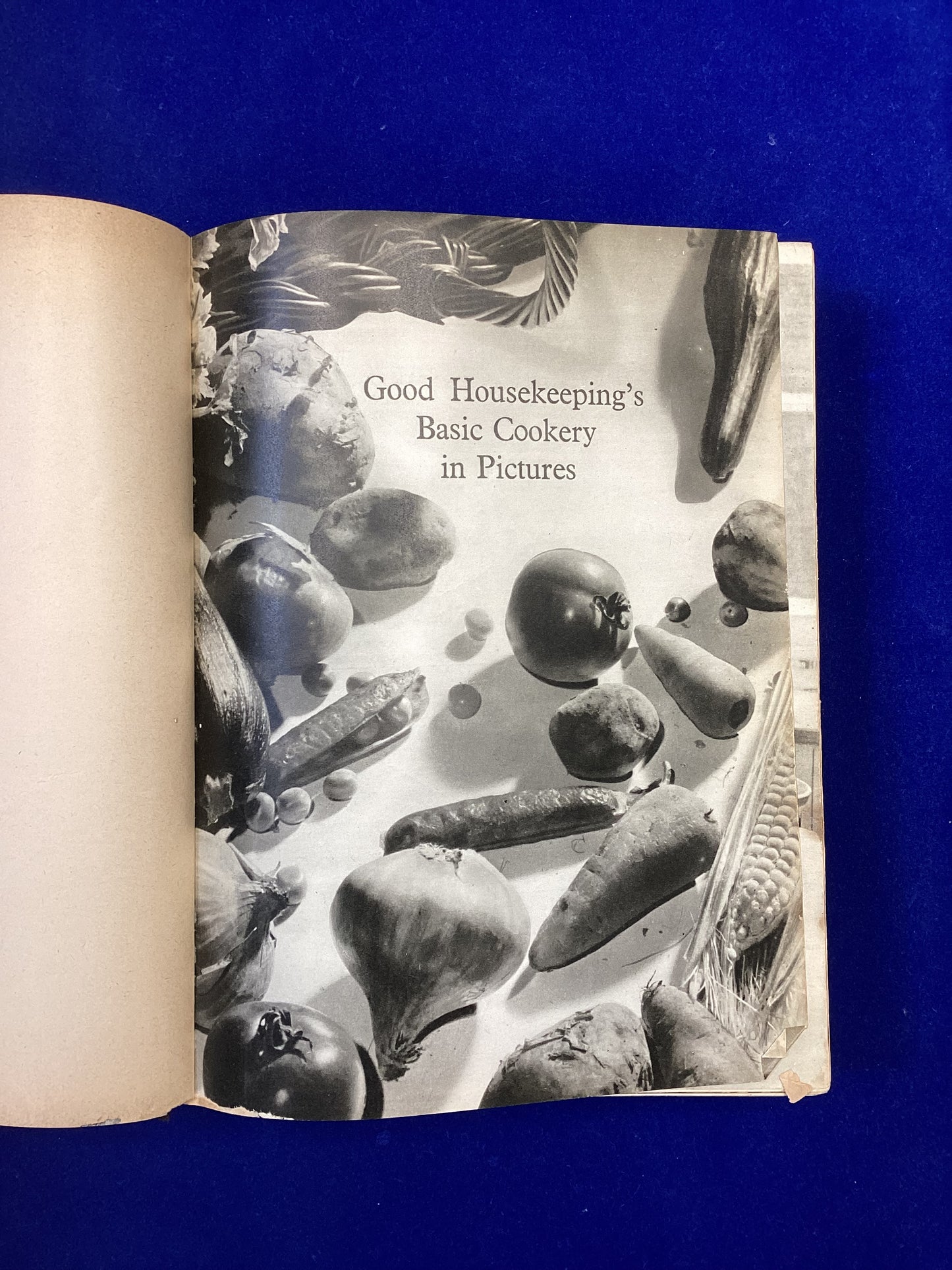 A Good Housekeeping Cookery Compendium, Compiled by The Good Housekeeping Institute.