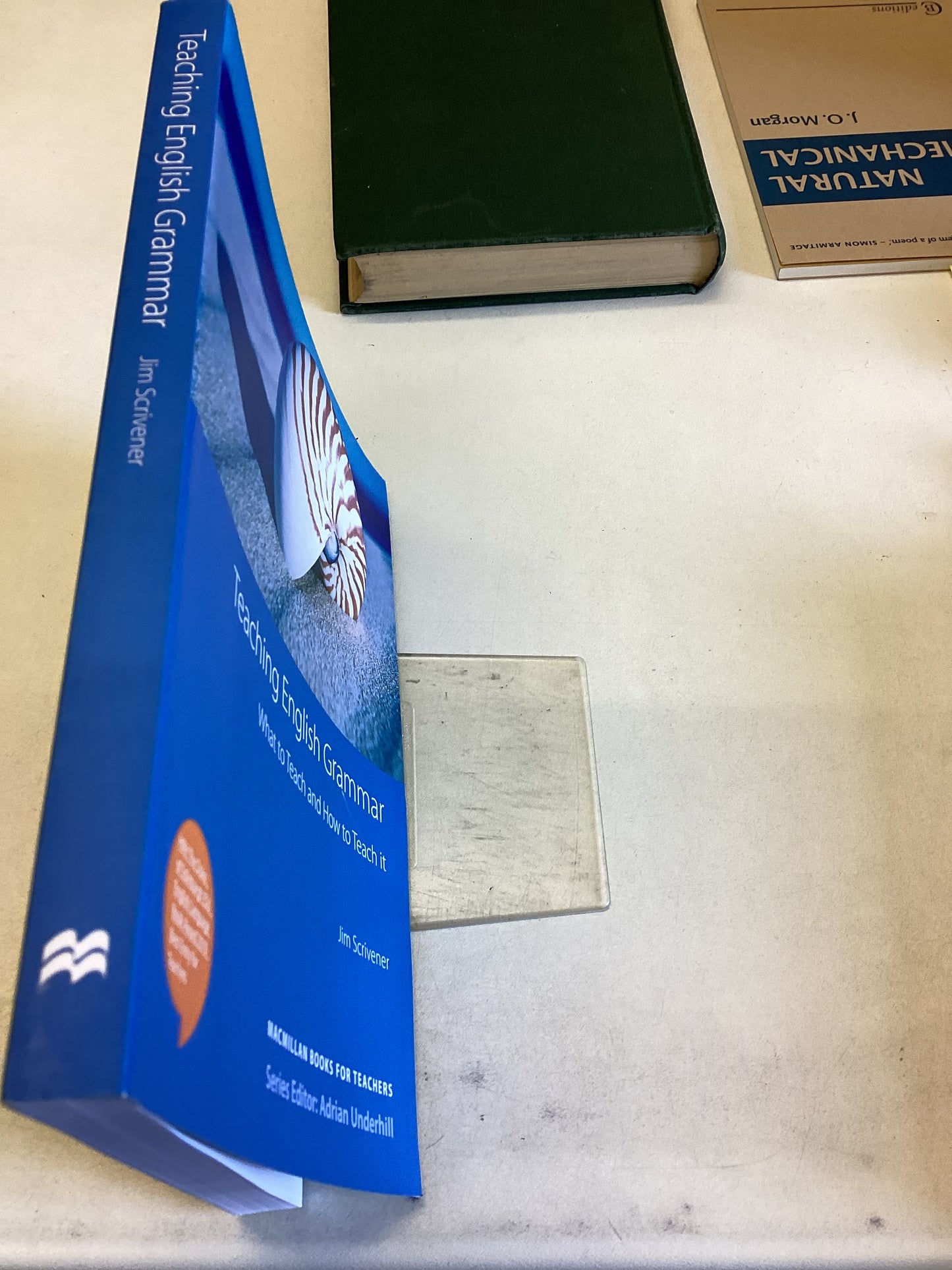 Teaching English Grammar What To Teach and How To Teach It Jim Scivener