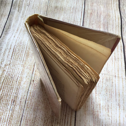 History of Lanark and Guide to the Scenery by W. Davidson (1828)