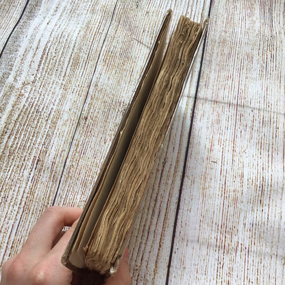 History of Lanark and Guide to the Scenery by W. Davidson (1828)